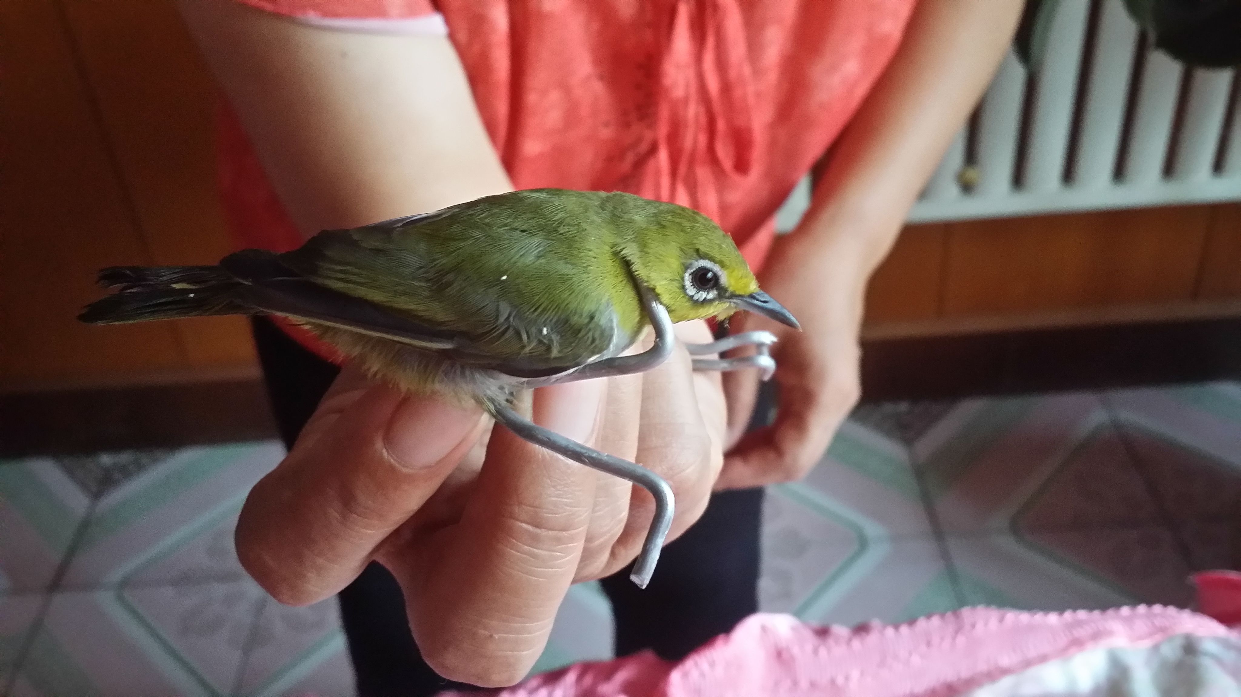 届-竨_U?褮筪繴?母?的简单介绍 届-竨_U?褮筪繴?母?的简单介绍